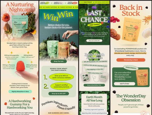 Klaviyo Automation & Flows Setup for Shopify Wellness Brand