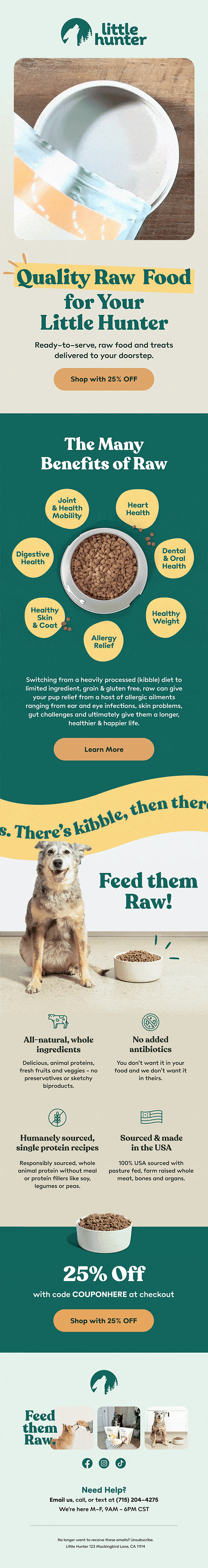 Little Hunter Email Design