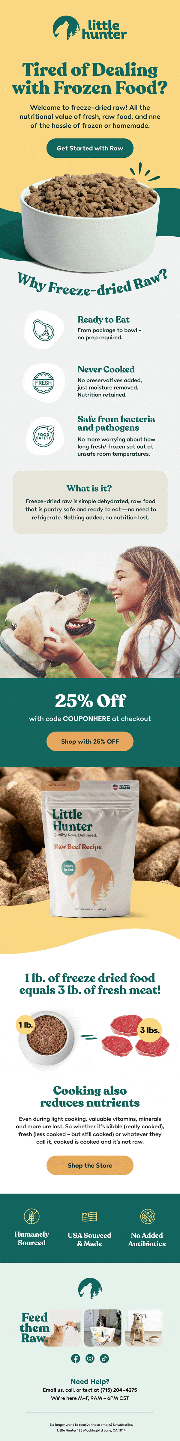 Little Hunter Email Design