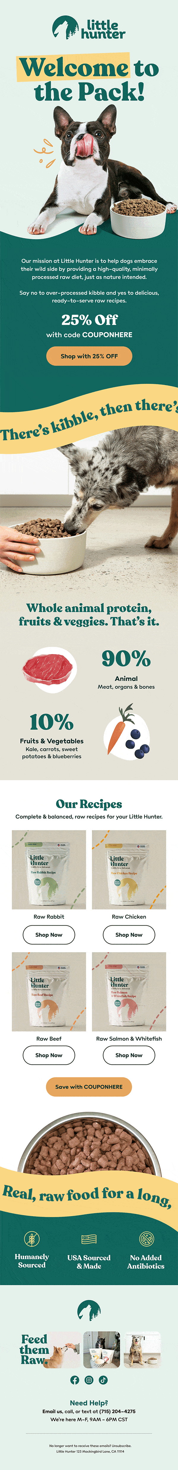 Little Hunter Email Design
